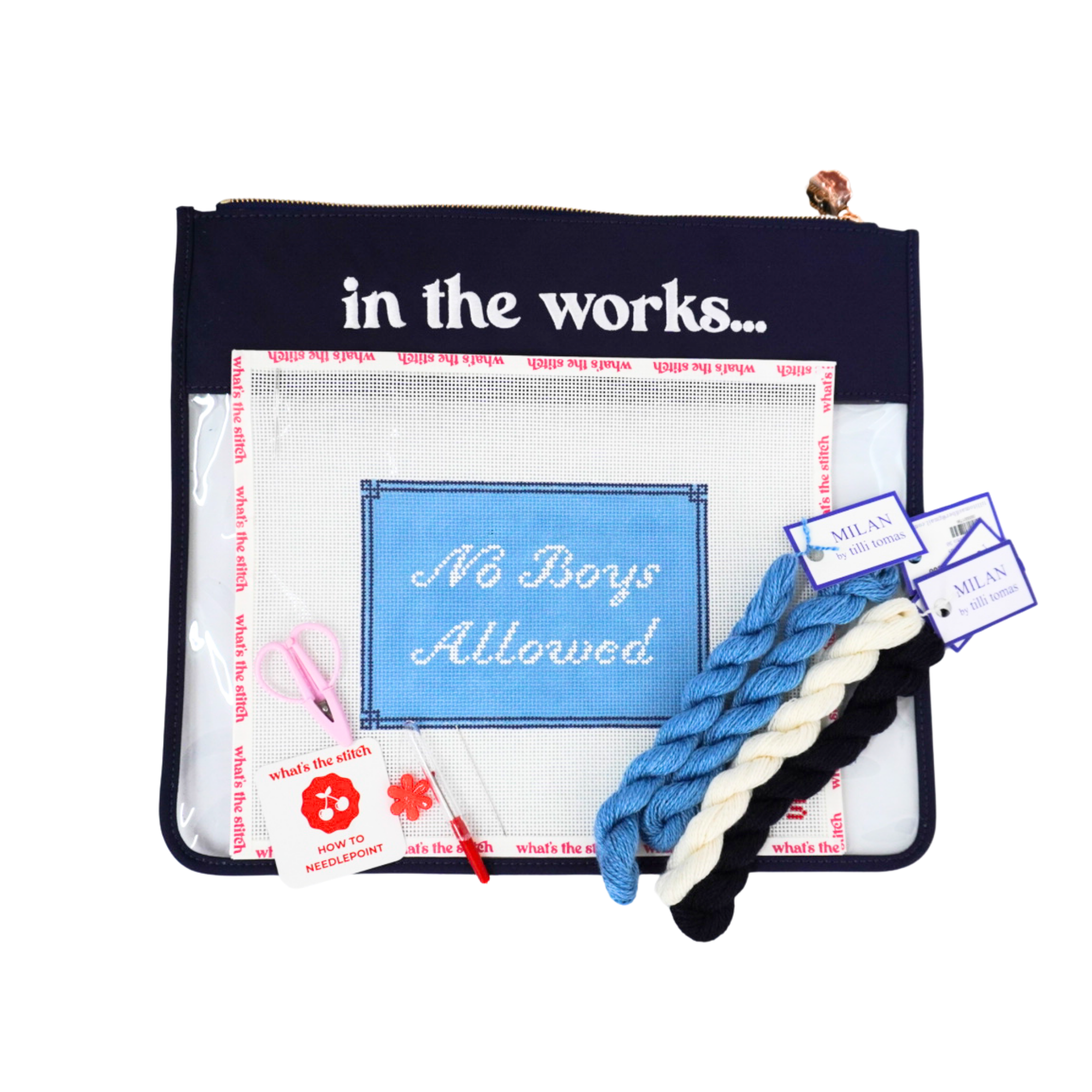No Boys Allowed Beginner Needlepoint Kit