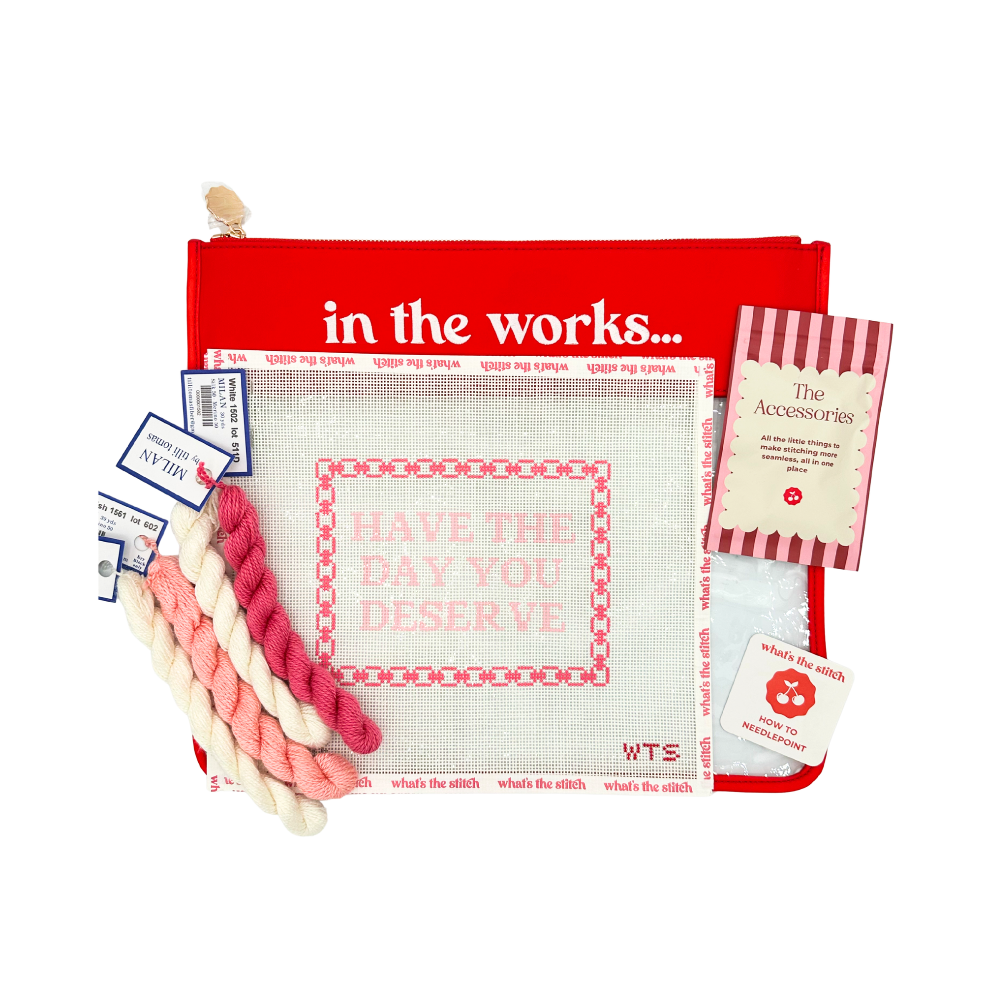Have the Day You Deserve Beginner Needlepoint Kit