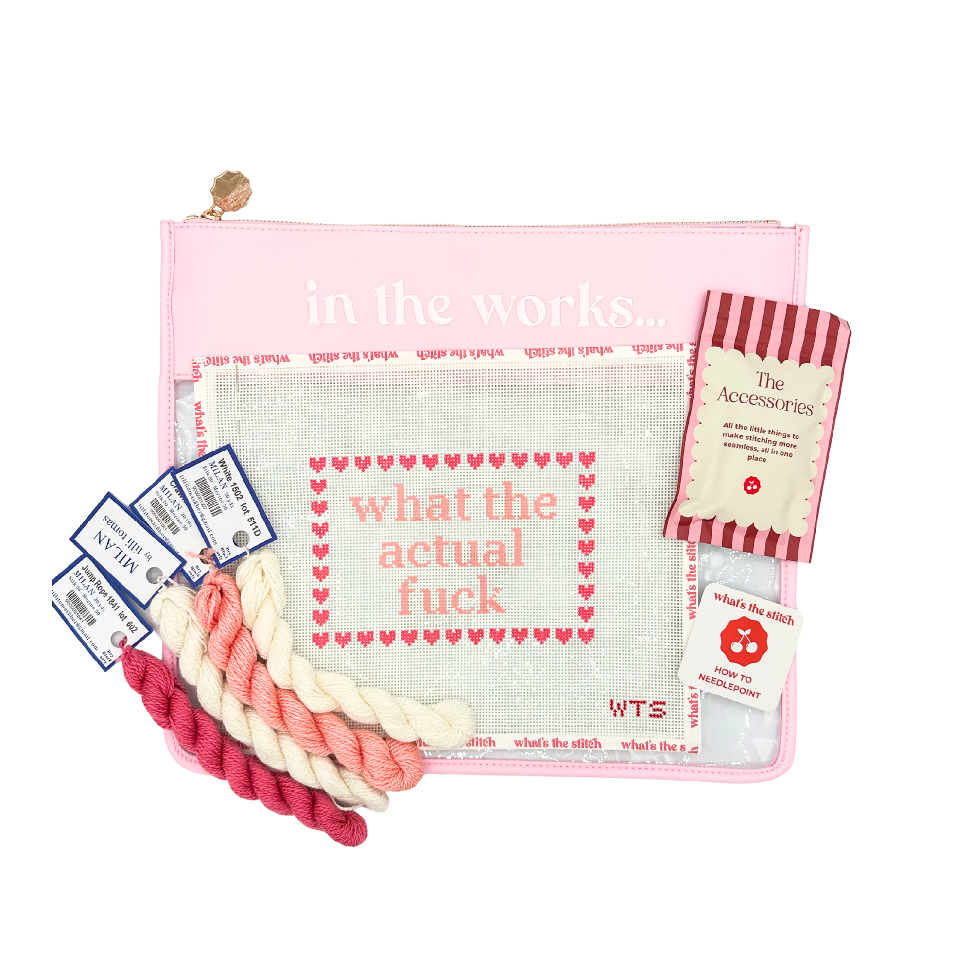 What the Actual Fuck Beginner Needlepoint Kit