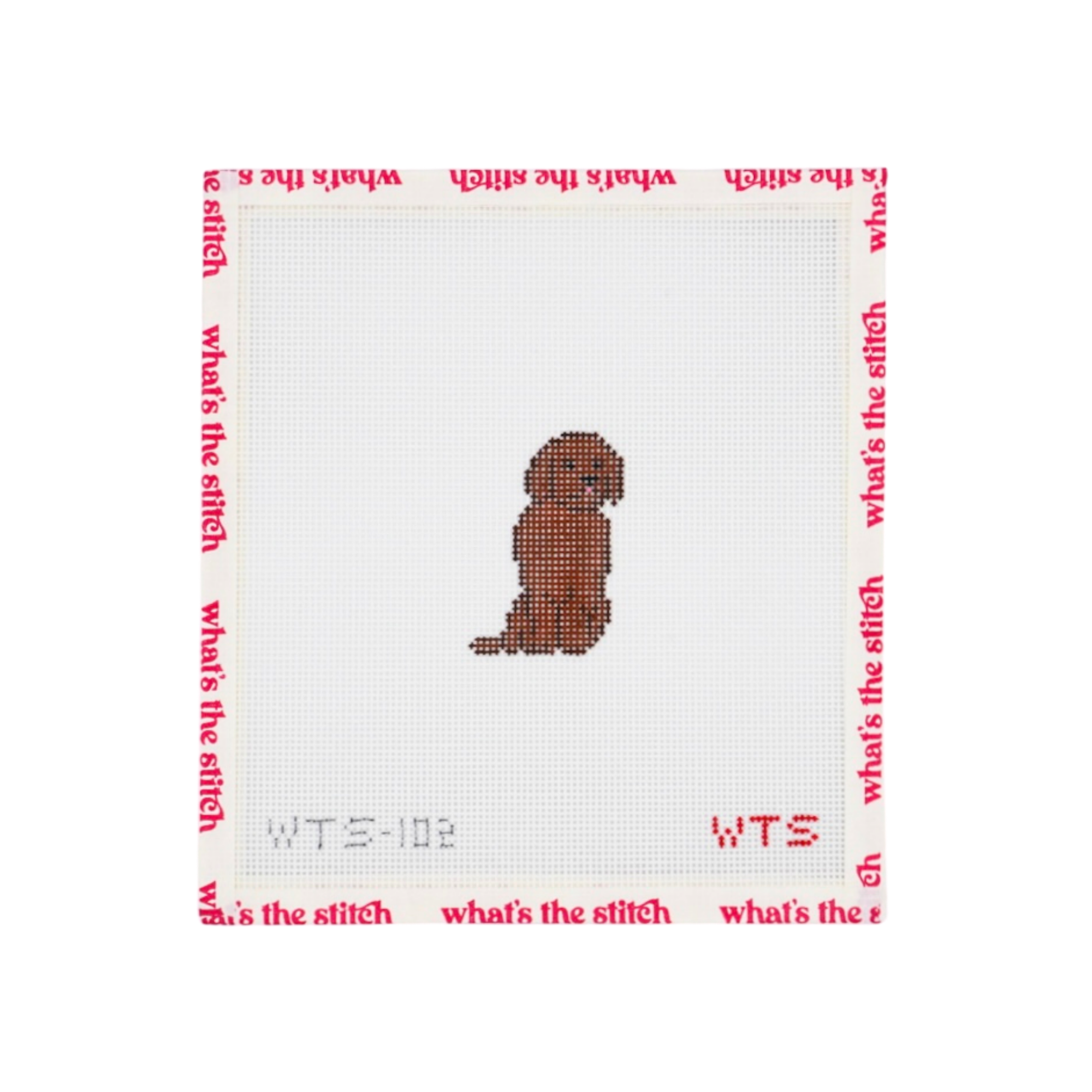 Mini Chocolate Lab