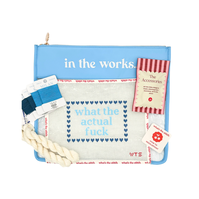What the Actual Fuck Beginner Needlepoint Kit