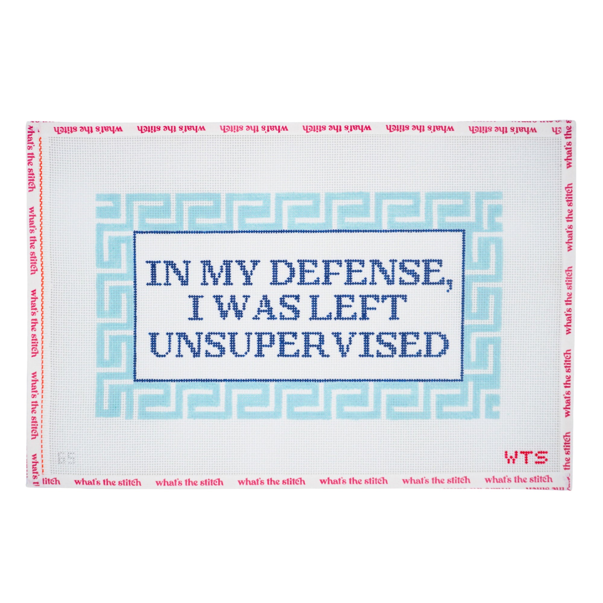 In My Defense, I Was Left Unsupervised