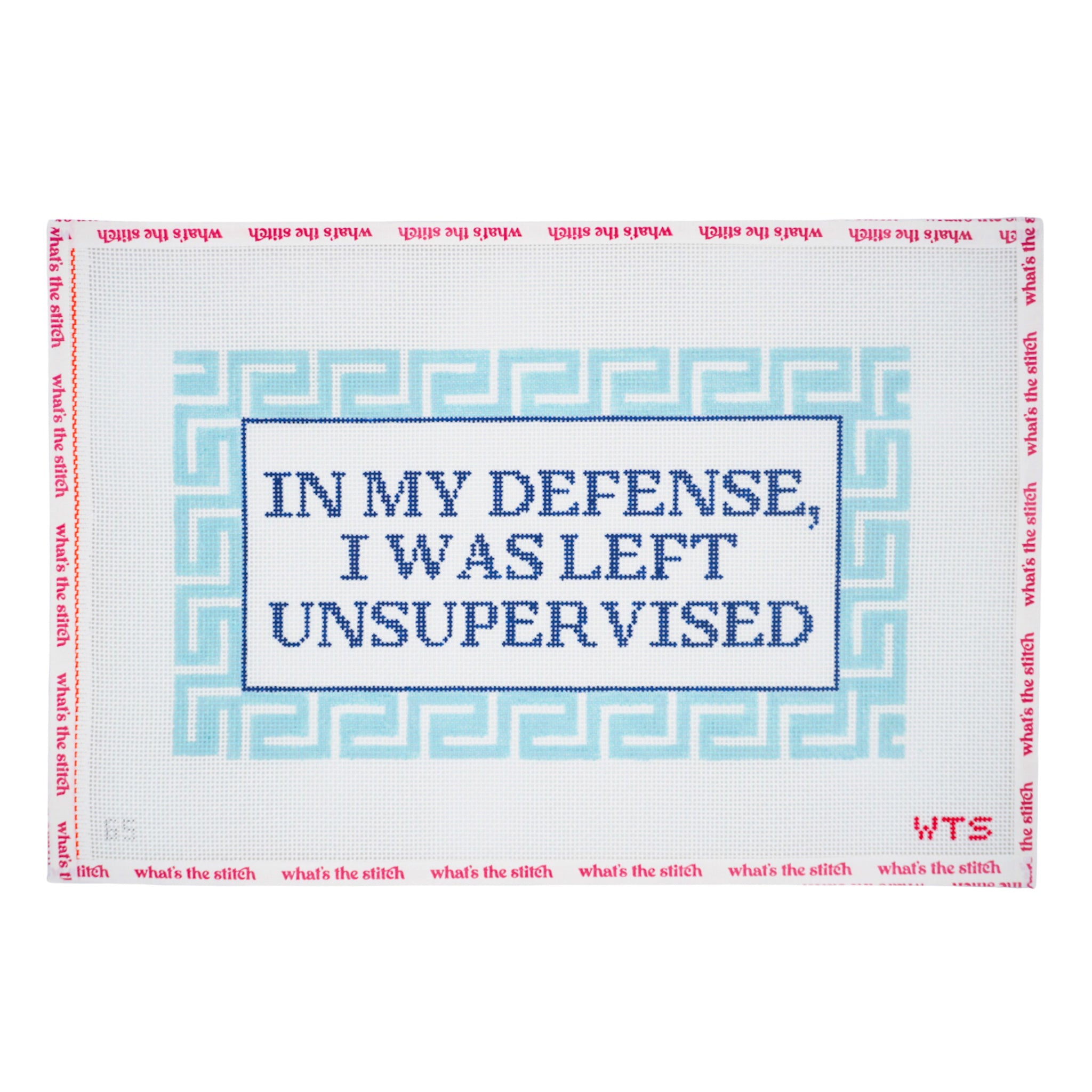 In My Defense, I Was Left Unsupervised