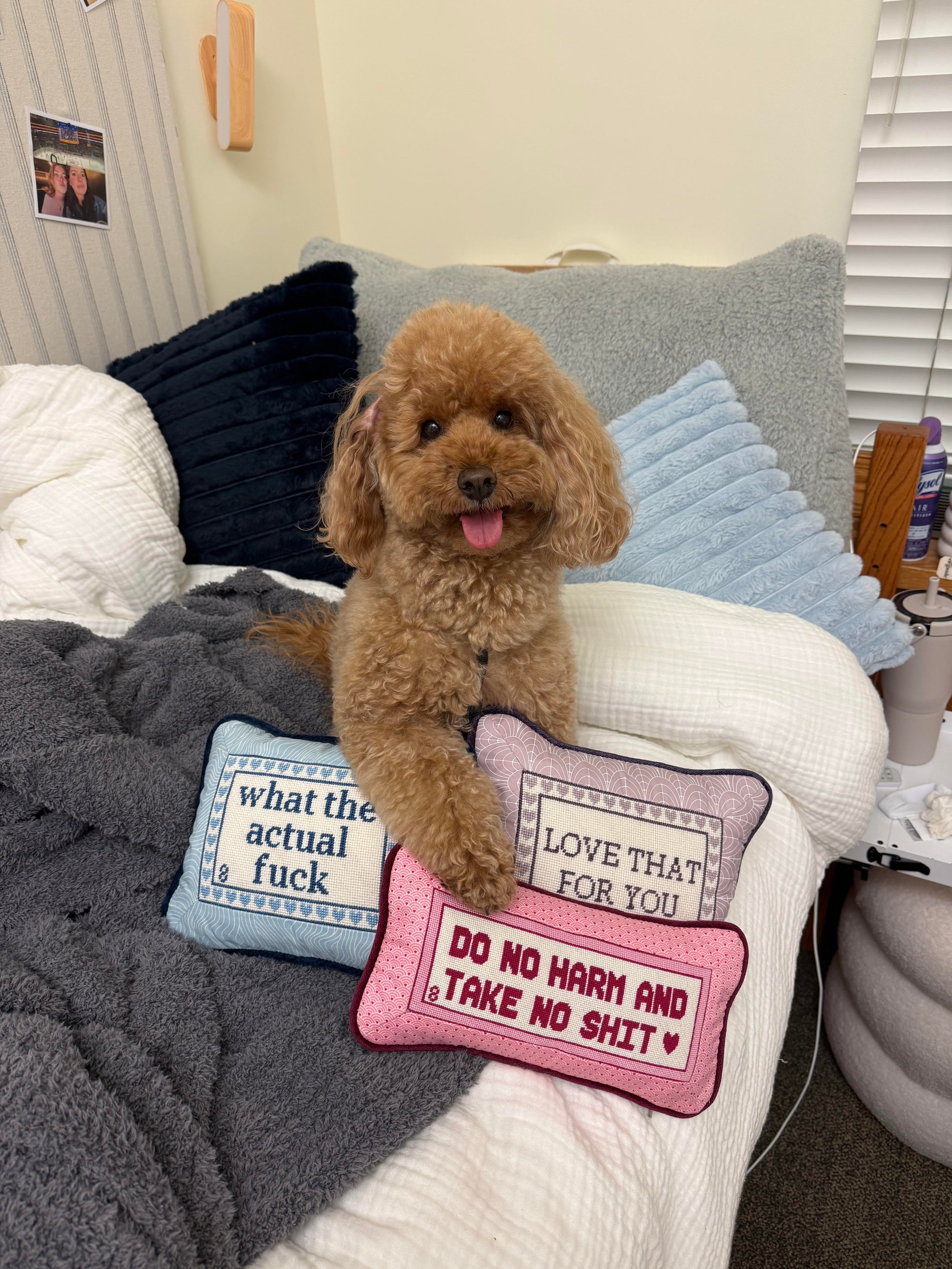 Do No Harm, and Take No Shit