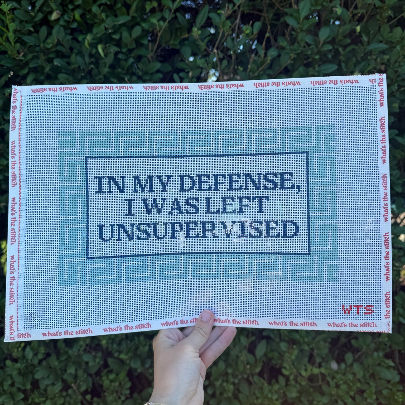 In My Defense, I Was Left Unsupervised