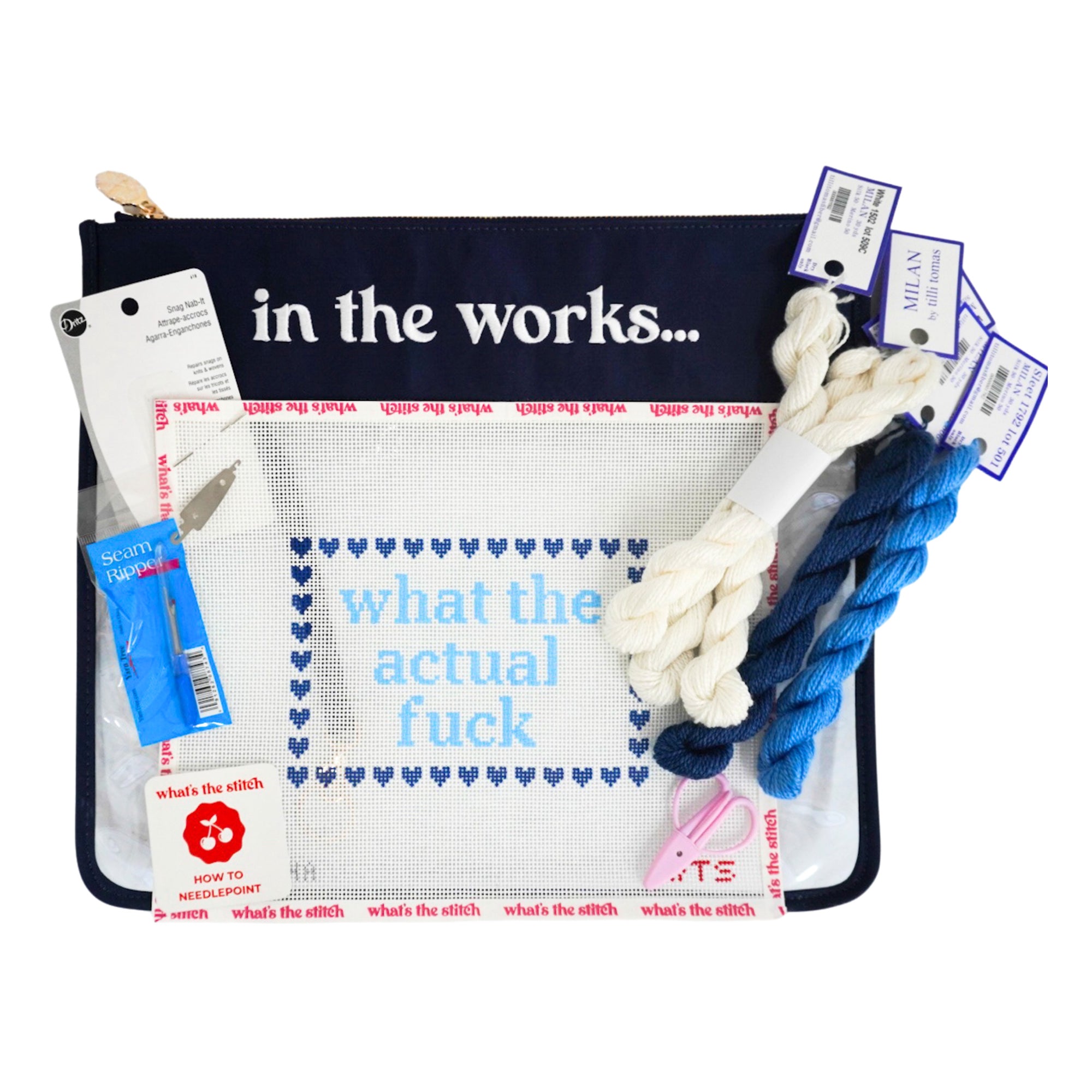 What the Actual Fuck Beginner Needlepoint Kit
