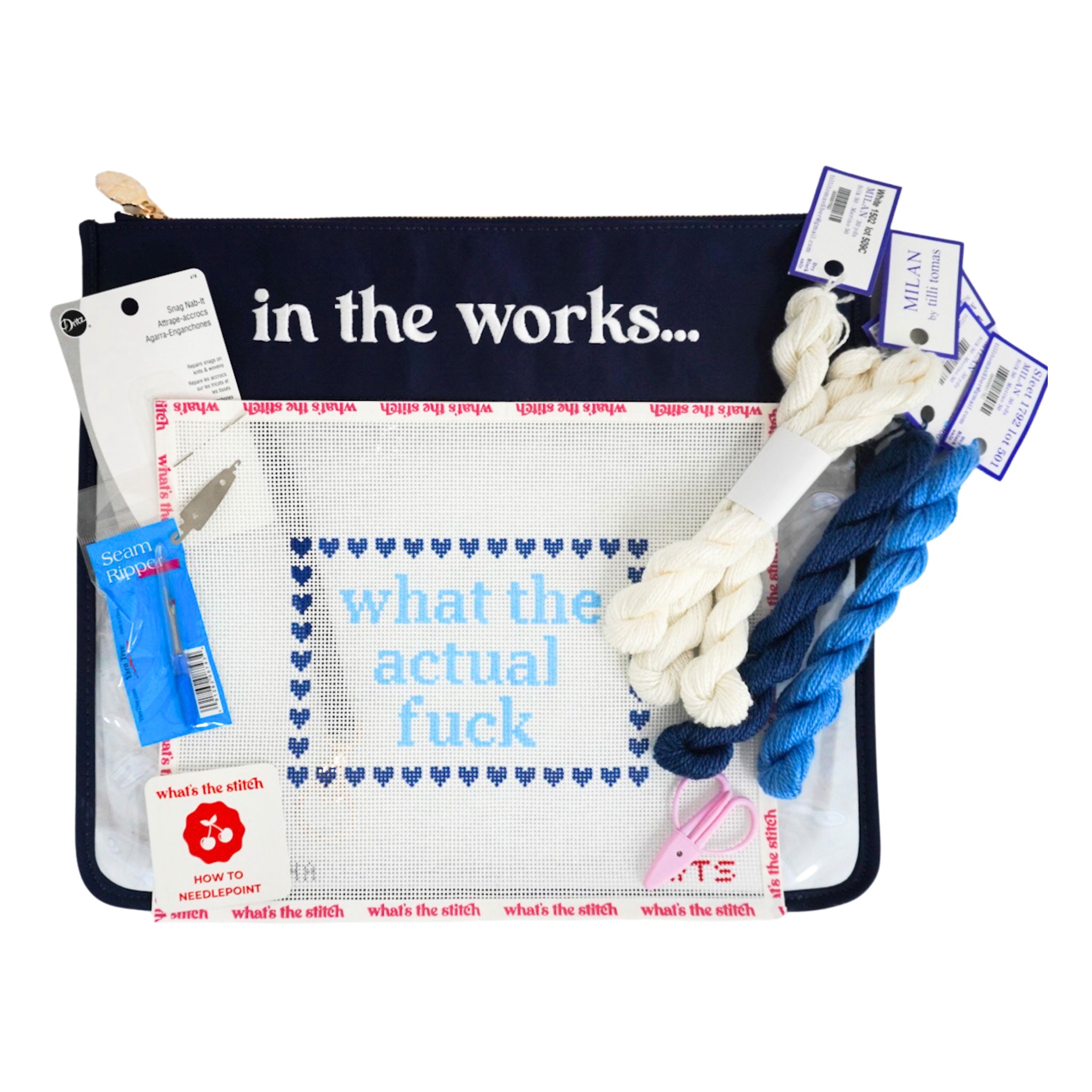 What the Actual Fuck Beginner Needlepoint Kit